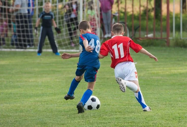 Winning Edge : Sports 7 Tips and Tricks to the champions